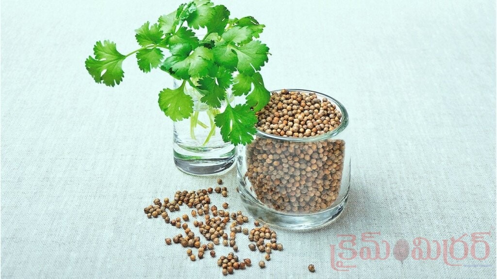 పడుకునే ముందు గ్లాసు ధనియాల నీరు తాగితే ఆరోగ్యానికి మంచిదా?