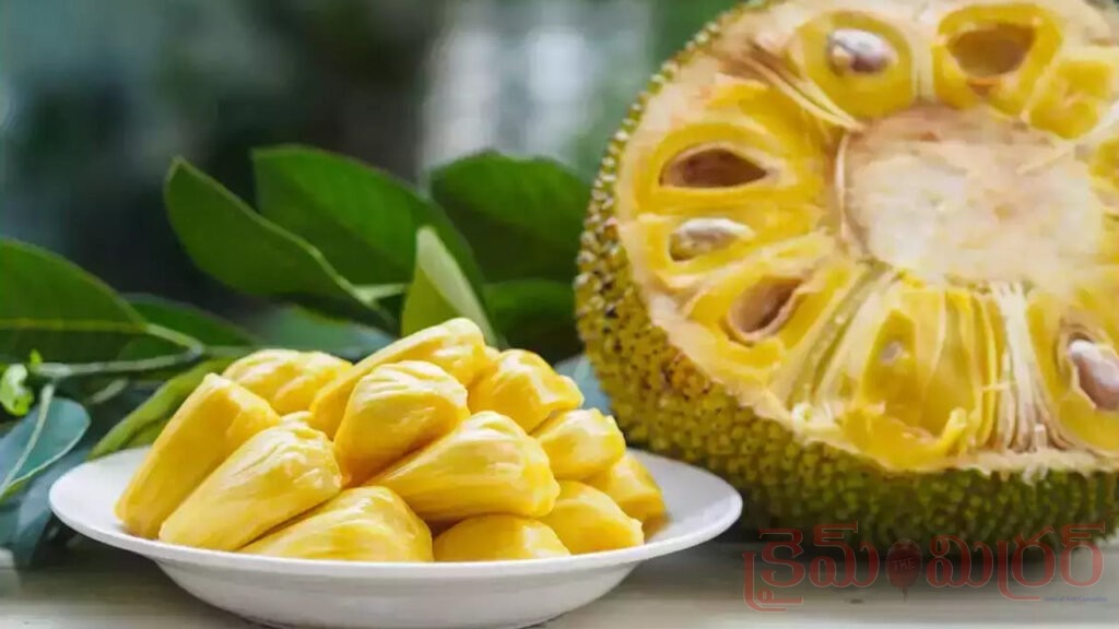 పనస గింజలను పారేస్తున్నారా.. ఆరోగ్యానికి ఇన్ని ప్రయోజనాలు ఉన్నాయని తెలుసా?