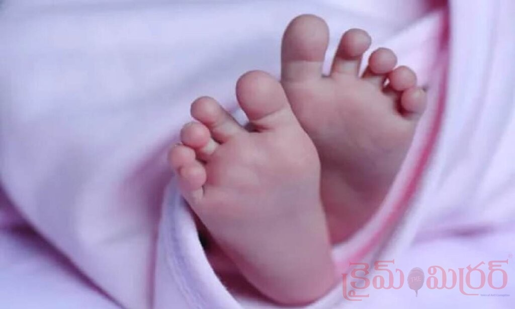 గోబర్‌ గ్యాస్‌ గుంతలో పడి రెండేళ్ల బాలుడి మృతి.. కంపెనీ భద్రతపై ప్రశ్నలు