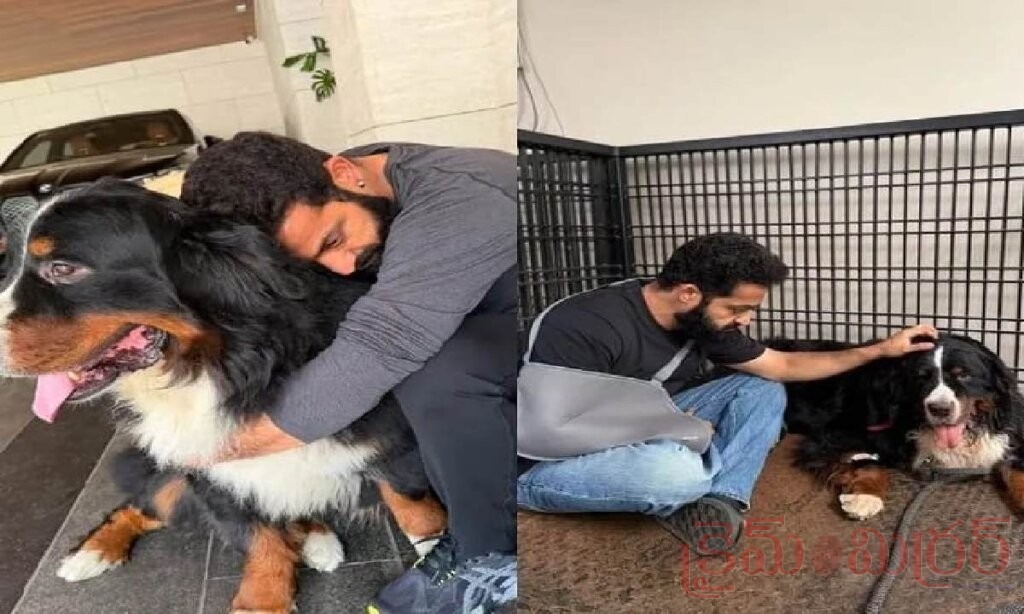 జూనియర్ ఎన్టీఆర్ ఇంట విషాదం.. పెంపుడు కుక్క ‘భగీర’ మృతి