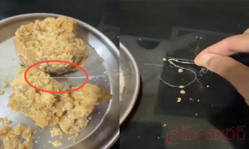తిరుమల శ్రీవారి లడ్డూలో సిల్క్ గుడ్డ ముక్క.. భక్తుడి వీడియో వైరల్
