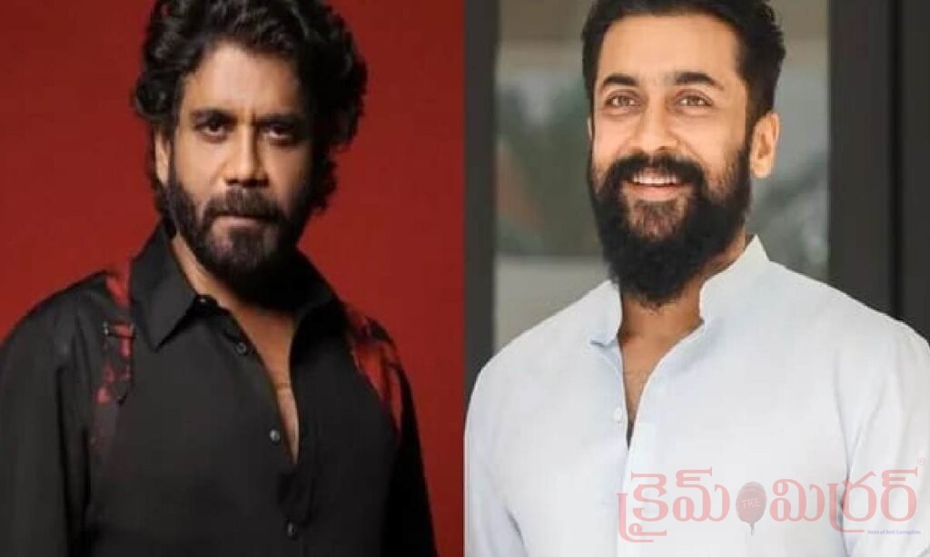 సూర్య 49లో నాగార్జున విలన్‌గా? ఆసక్తికరంగా మారిన క్రేజీ కాంబినేషన్!