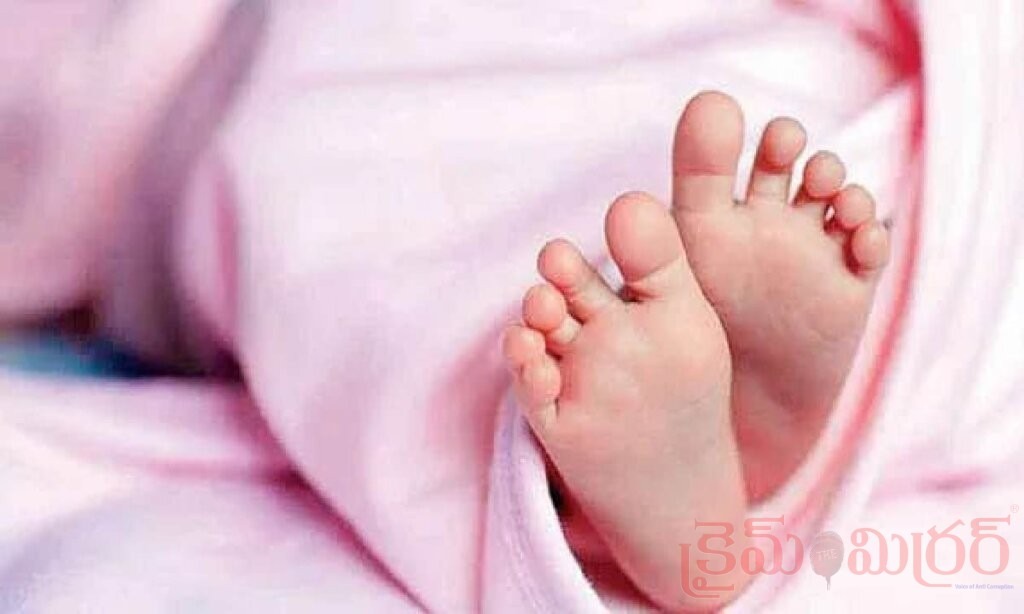 సదాశివపేట ప్రభుత్వ ఆస్పత్రి టాయిలెట్‌లో శిశువు మృతదేహం..