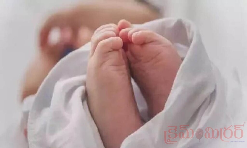 జమ్మలమడకలో విషాదం.. పాడుబడిన ఇంట్లో నవజాత ఆడ శిశువు మృతదేహం