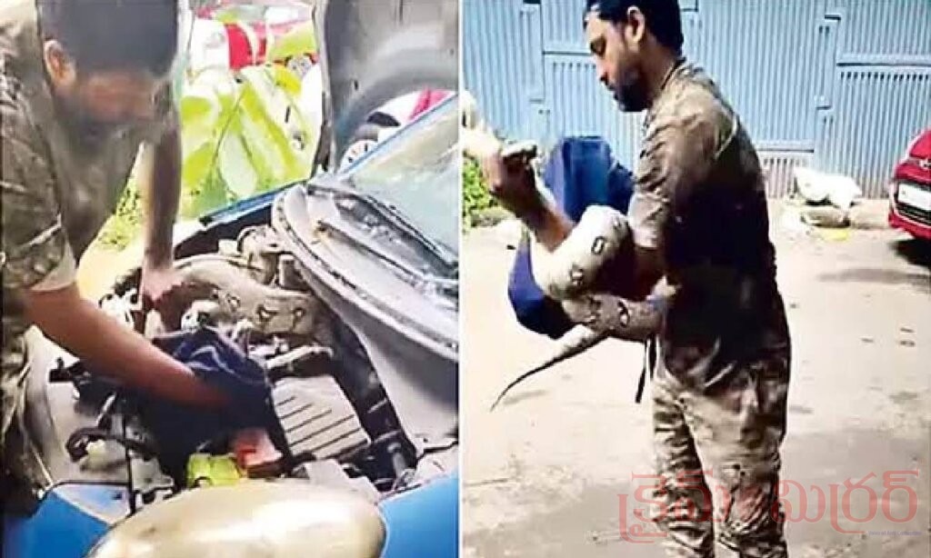 కారు బానెట్‌లో భారీ కొండచిలువ.. ముంబైలో హైటెన్షన్