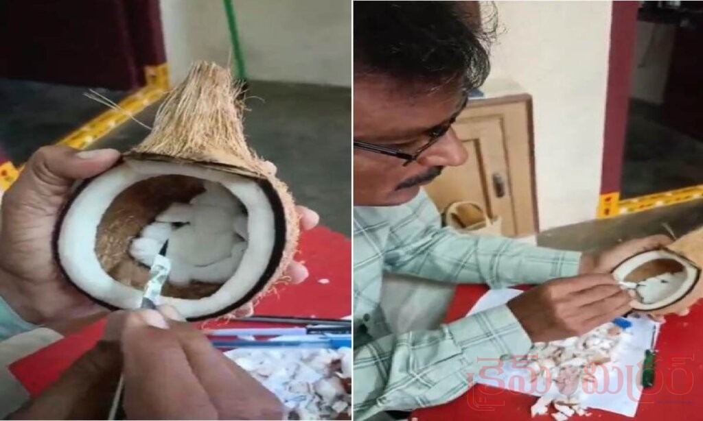 కొబ్బరి చిప్పలో గణనాథుడు.. ఉపాధ్యాయుడి సృజనాత్మకతకు ఫిదా