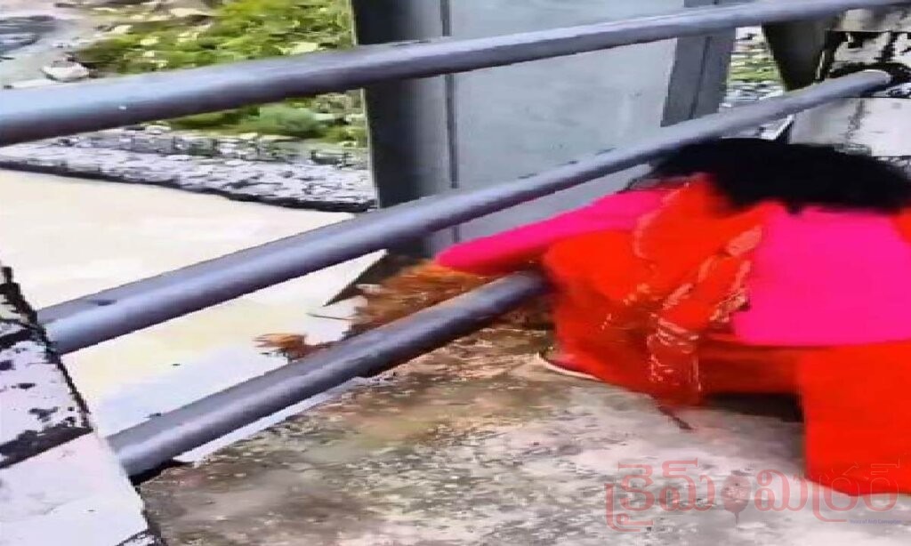 బతికున్న కుక్కను నదిలోకి విసిరేసిన మహిళ.. వైరల్ వీడియోతో పోలీసుల దర్యాప్తు