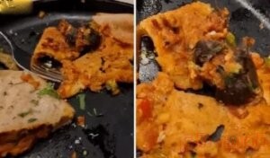 Mouse-in-Dosa Case Takes a Shocking Turn