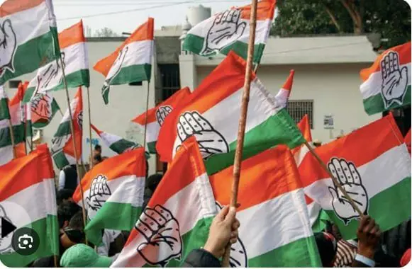 The Congress party's politics of institutions
