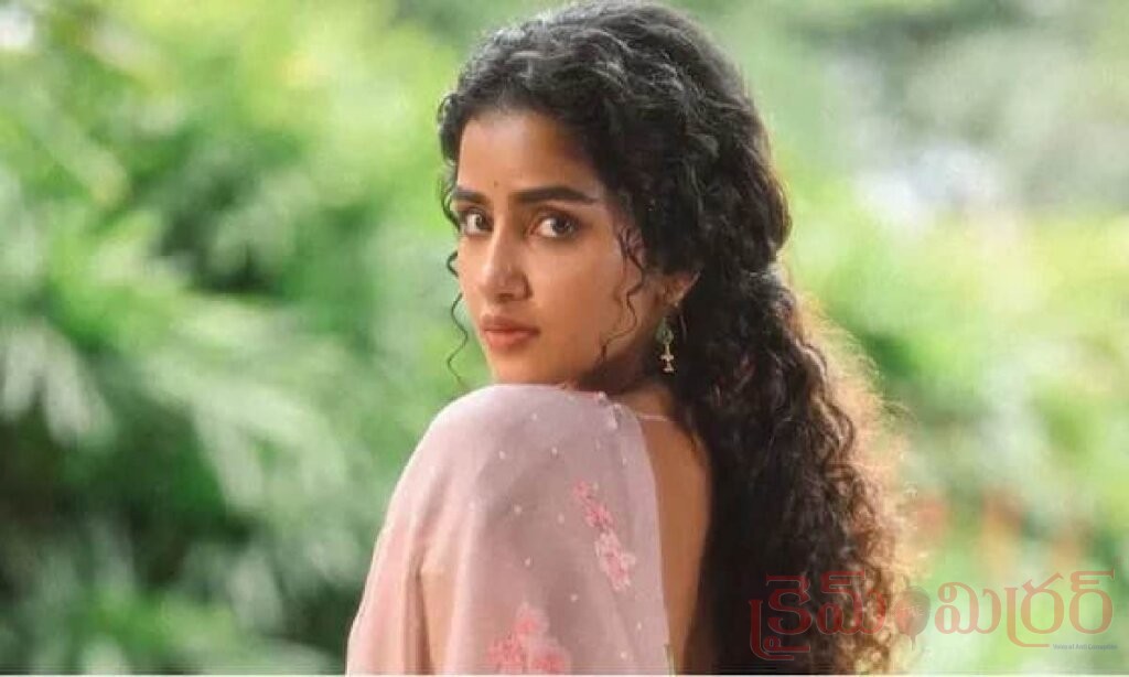ఆ వ్యక్తితో రెండేళ్లపాటు కొనసాగిన రిలేషన్‌షిప్‌ నరకంలా గడిచింది- అనుపమ పరమేశ్వరన్