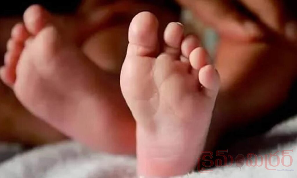 ఆళ్లగడ్డలో దారుణం.. చెత్తబుట్టలో శిశువు మృతదేహం