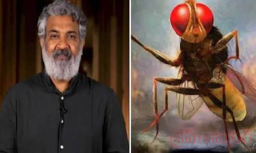 ” నాకు ‘బాహుబలి’ కాదు.. ఆ సినిమానే ప్రత్యేకం”- రాజమౌళి ఆసక్తికర వ్యాఖ్యలు!